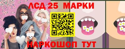 стаф Бердск