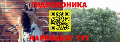 стаф Бердск