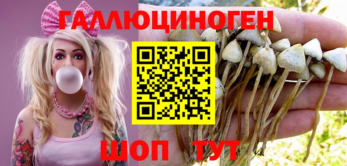 Галлюциногенные грибы Cubensis Долгопрудный